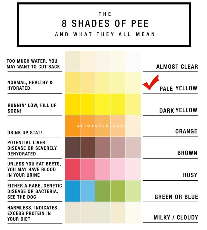 boja urina