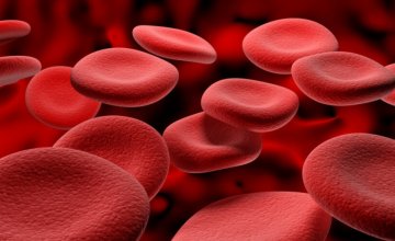 crvene krvne stanice