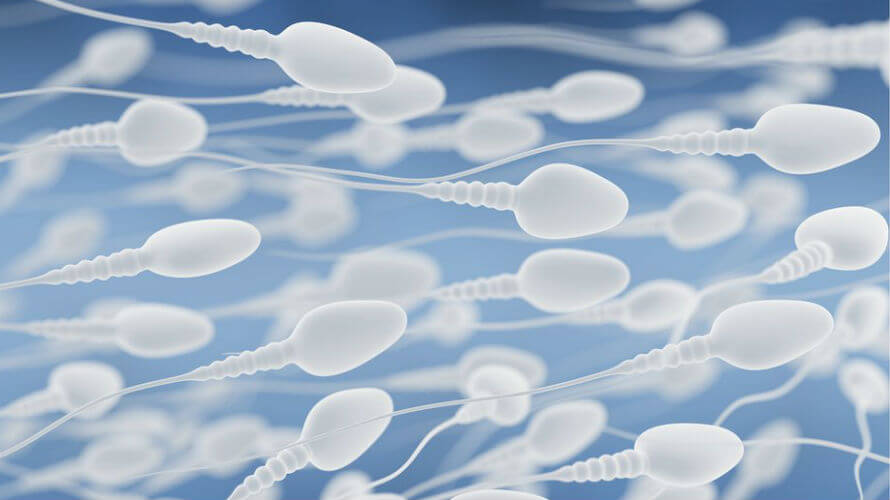 Prozirna sperma