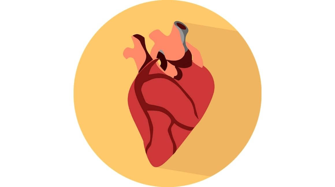 Tetralogija Fallot - srce