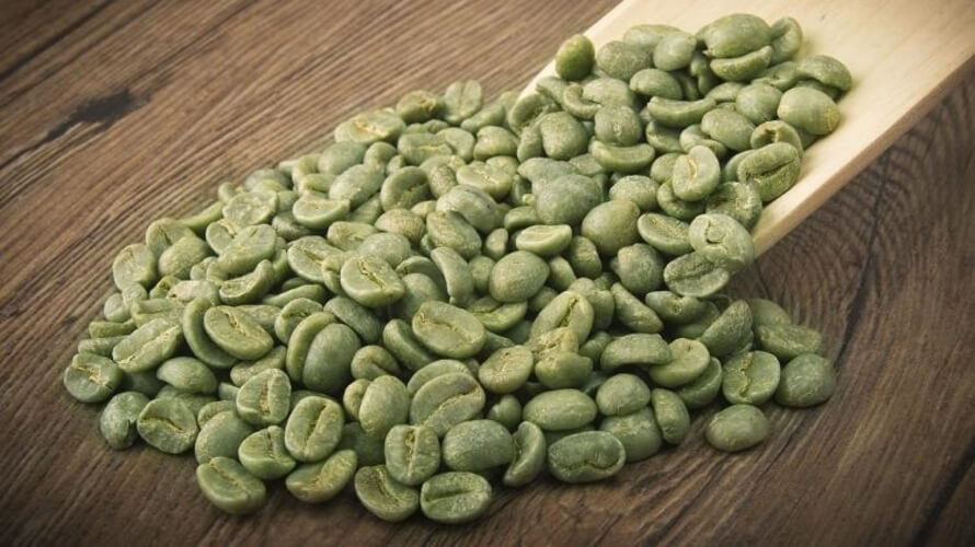 zelena kava