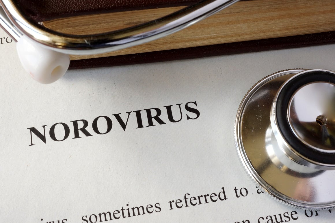 Liječenje norovirusa