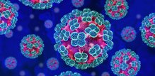 Hantavirus
