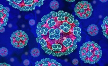 Hantavirus