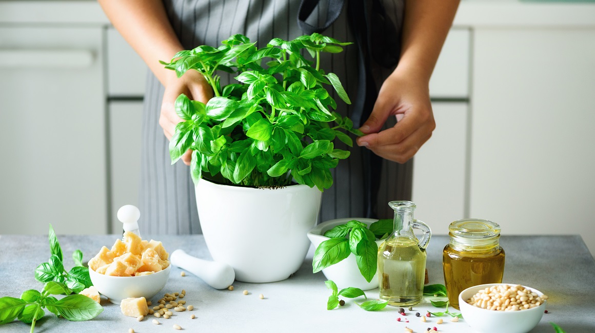 Uzgoj začinskog bilja u kuhinji ili na balkonu