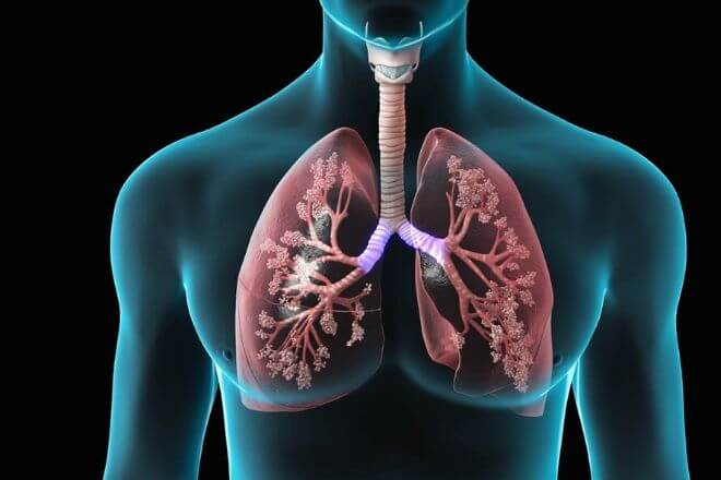 Bolesti plućnih zalistaka