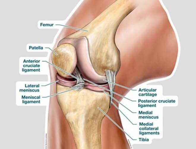 bol sa strane zgloba koljena s unutarnje strane)