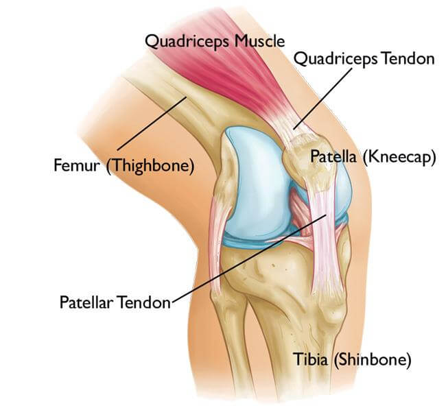 bol oko liječenja zgloba koljena