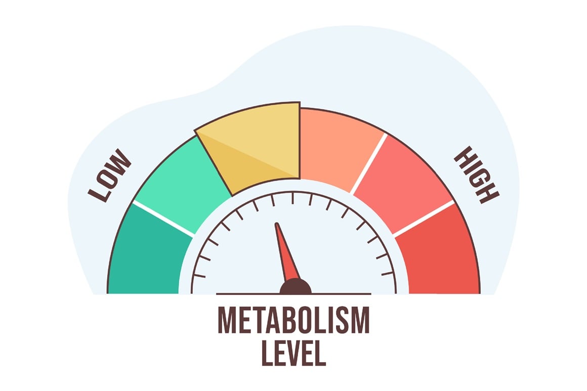 Kako ubrzati metabolizam i smršaviti