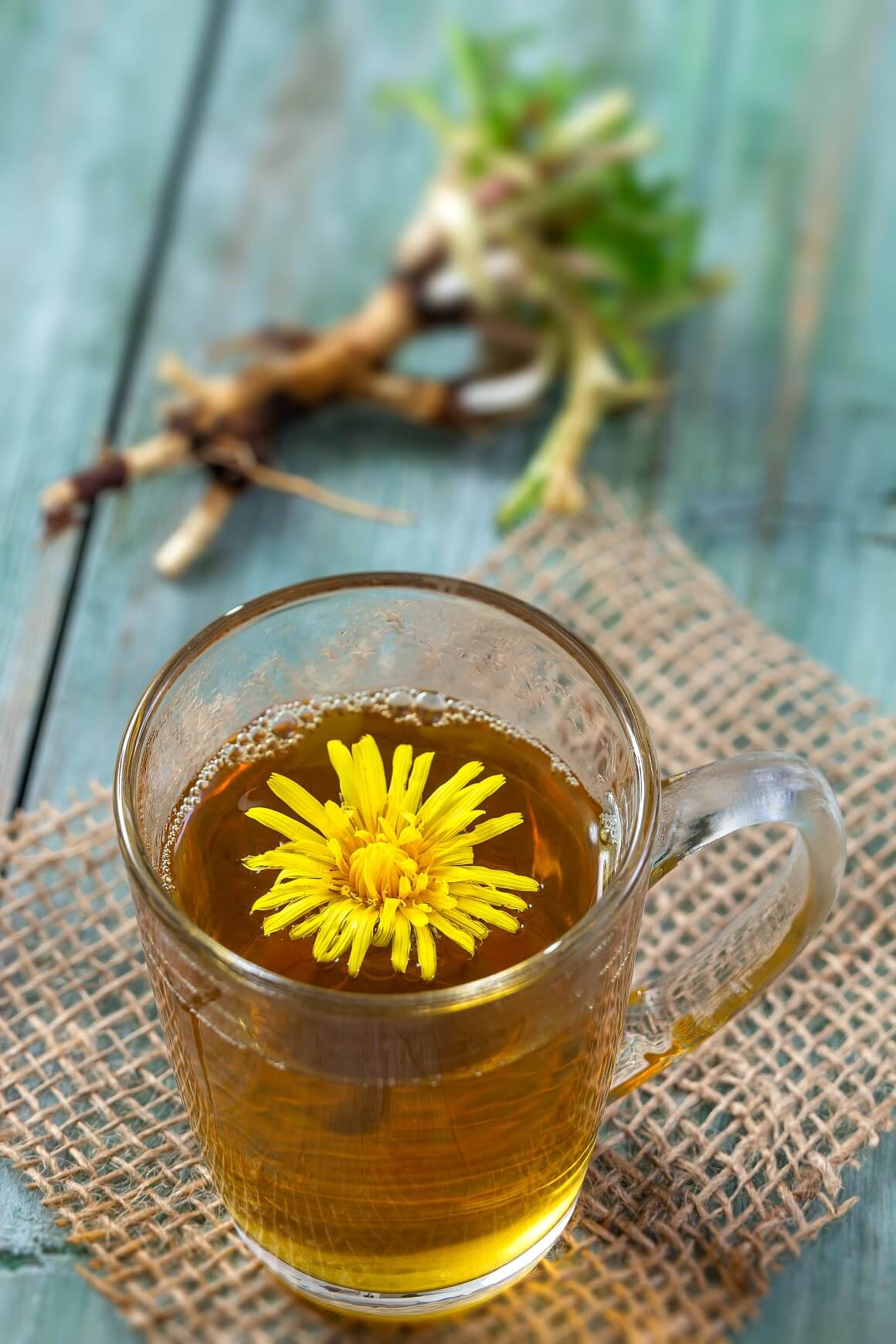 Čaj od korijena maslačka