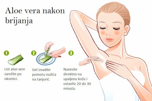 aloe_vera