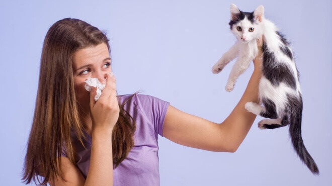 alergija-na-macke