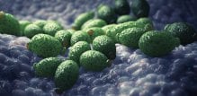 Candida u crijevima - simptomi