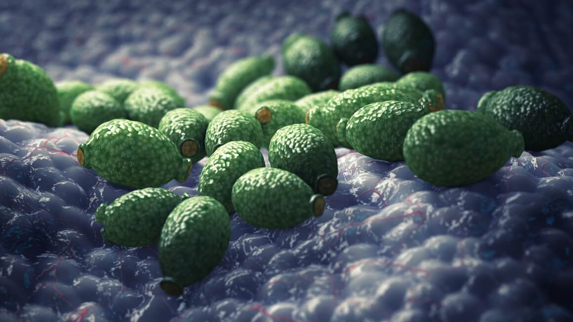 Candida u crijevima - simptomi