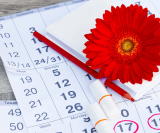 menstrualni-kalendar
