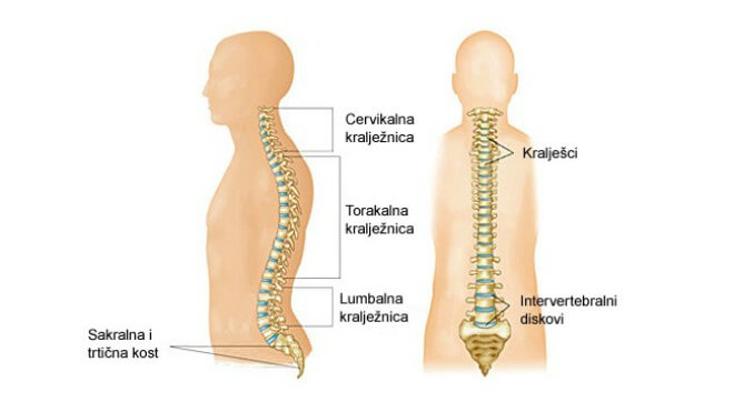 bol u zglobu koljena od čučnjeva artritis artroza laktova i njegovo liječenje