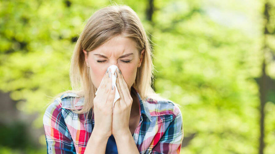 Alergija na ambroziju