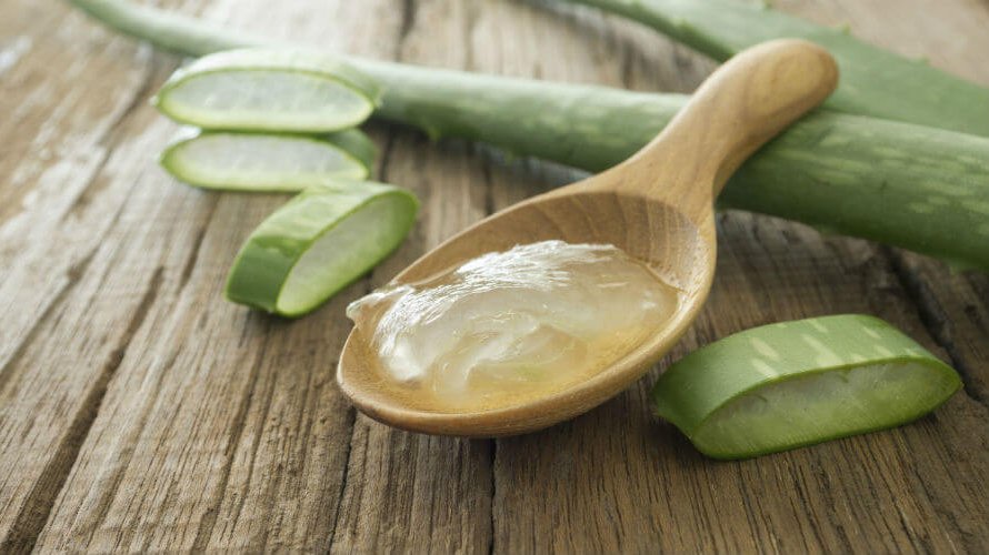 Aloe vera gel njega kože, konzumiranje i recepti Kreni zdravo!