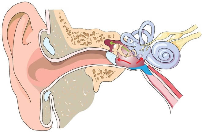 Lijekove za visok krvni pritisak zujanje u ušima