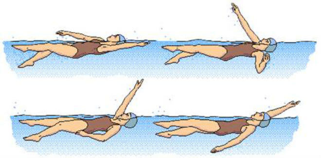 Leđno plivanje