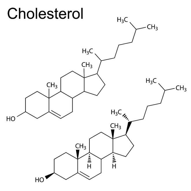Molekulska struktura kolesterola