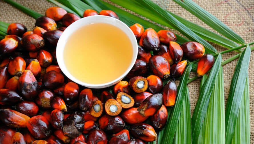 palmino-ulje