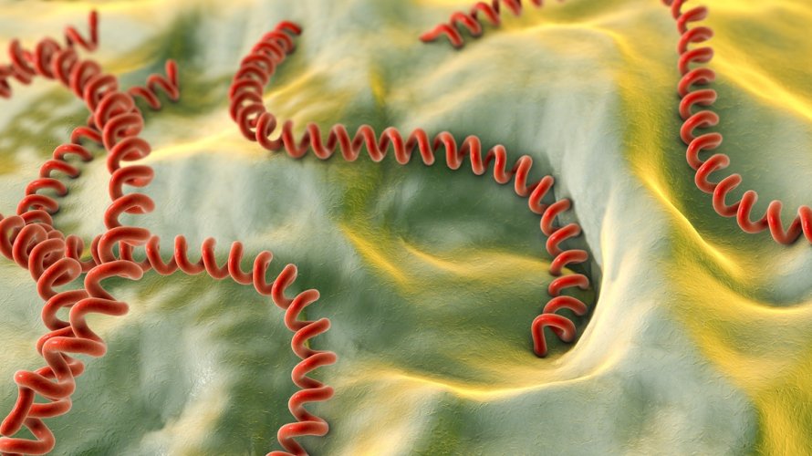 Leptospiroza