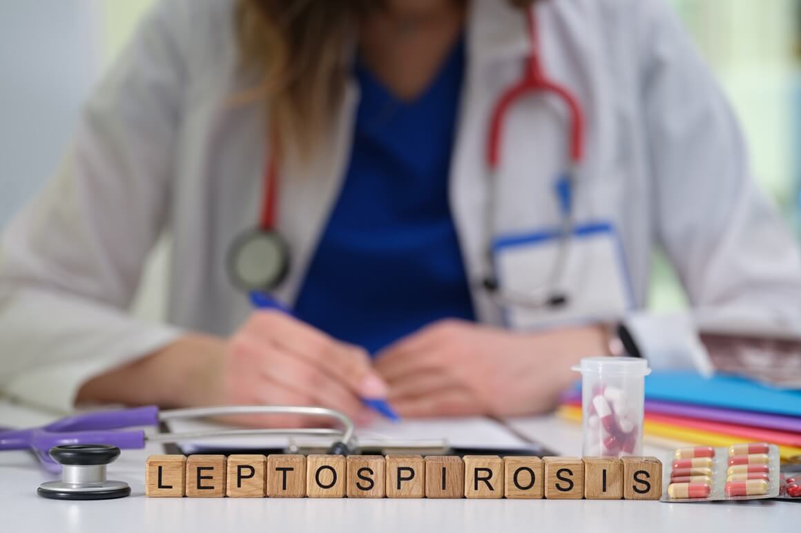 Leptospiroza - liječenje