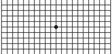 amslerov-test-1