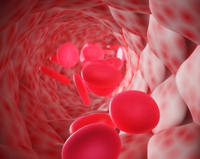 Krvne žile