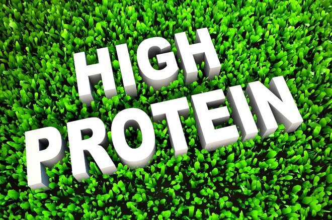 Proteini u prehrani