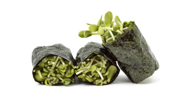 sushi alge