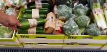 Eko, bio ili organska hrana
