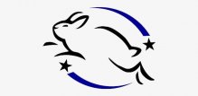 leaping bunny