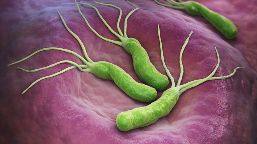 Bakterije u želucu