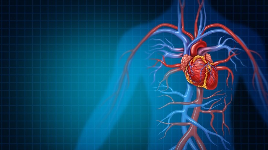 koarktacije aorte pomiješa hipertenzije