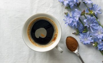 Kava od cikorije