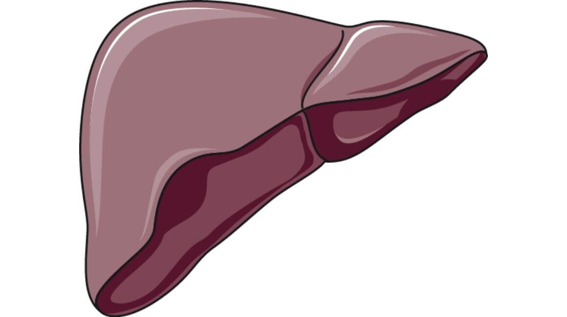 Kako si pomoći kod masne jetre?