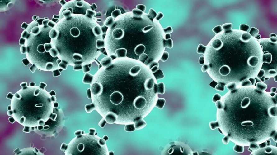 Koronavirus ili COVID-19