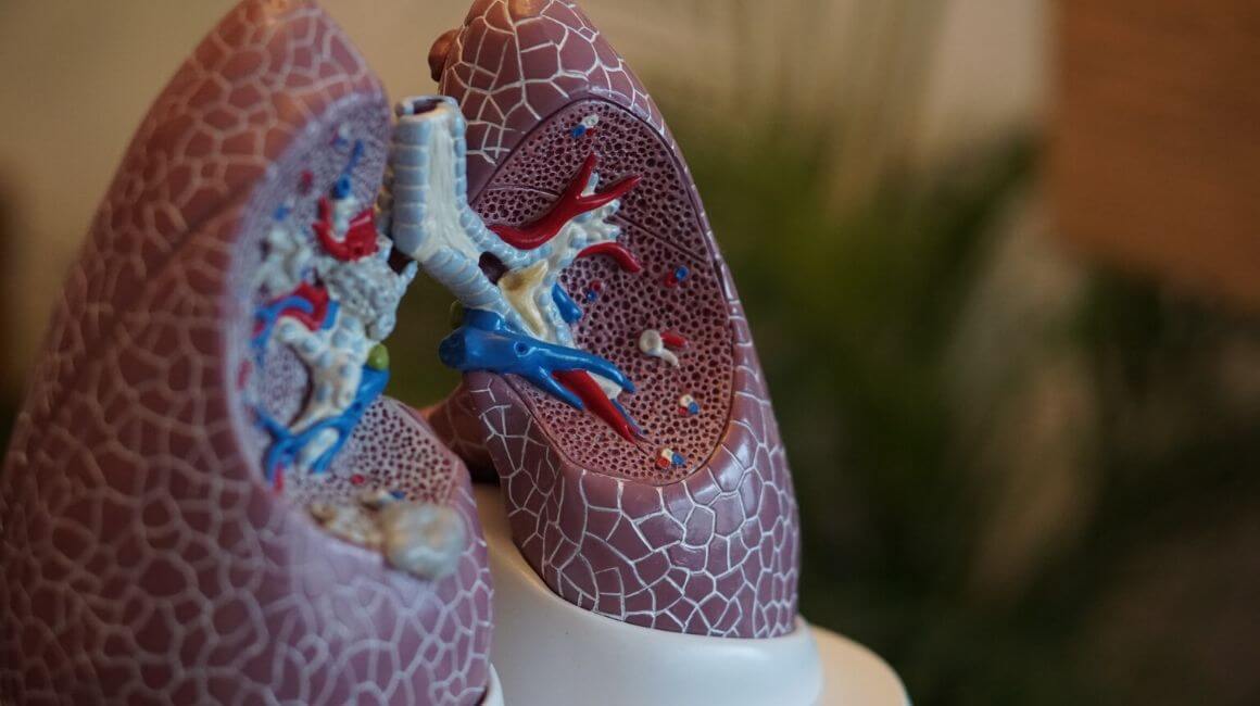Pluća i bolesti