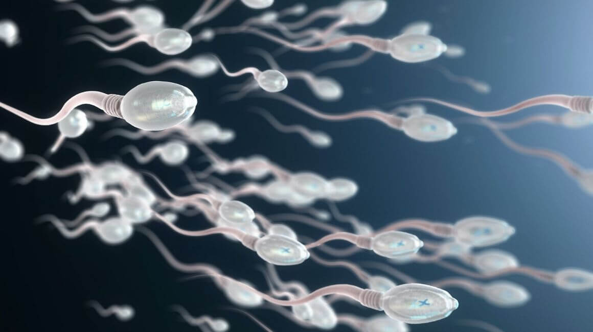 Dugi život spermija