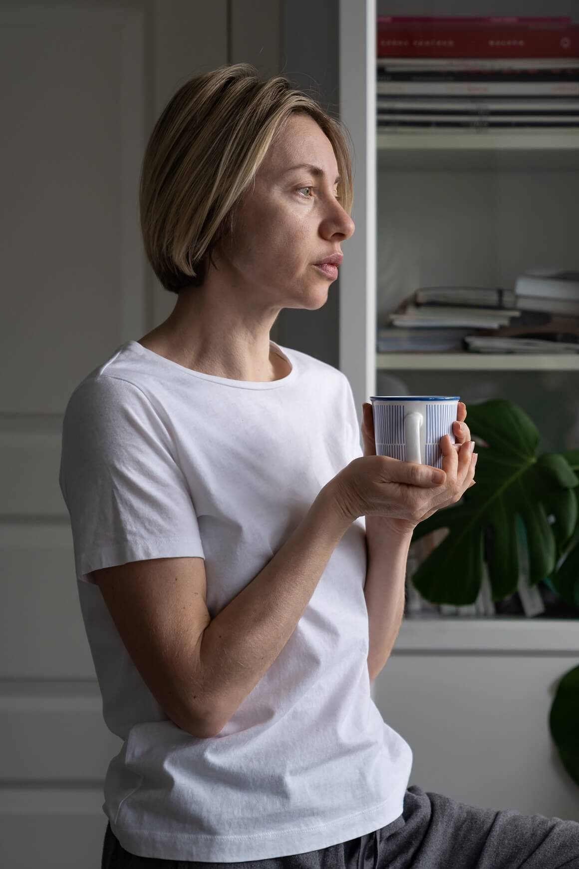 Čajevi za menopauzu