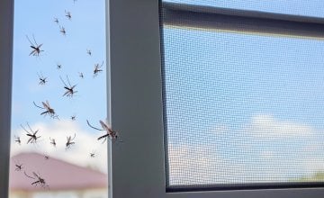 Prirodna zaštita od komaraca koja djeluje