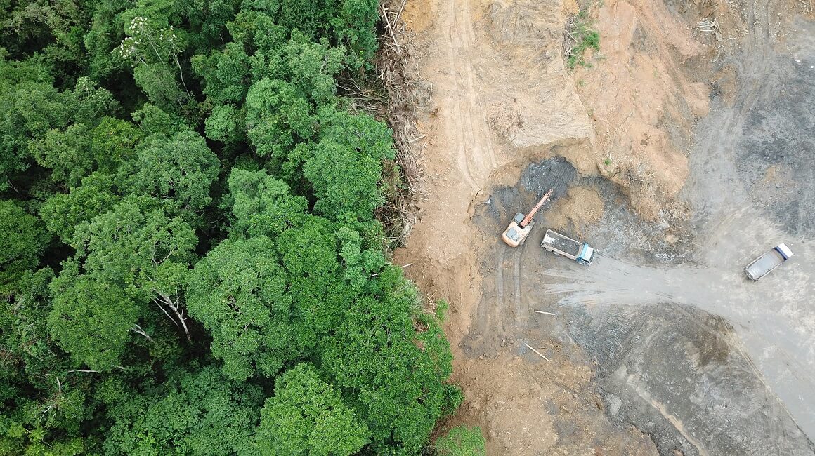 Deforestacija Amazonije u siječnju posječen rekordni broj stabala