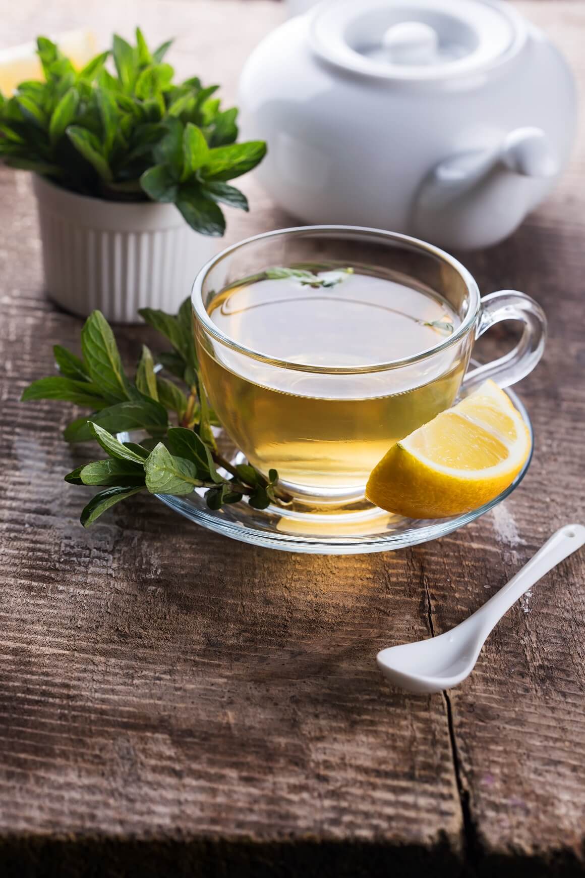 Prirodna prevencija protiv virusa