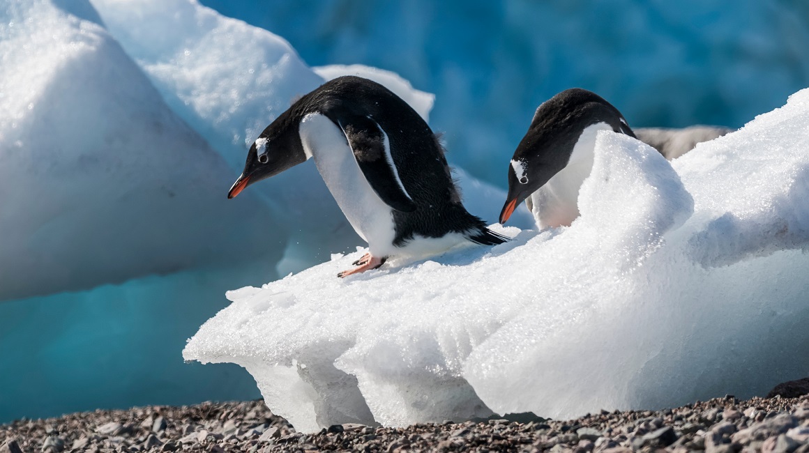 Na Antarktici izmjereno više od 30 stupnjeva iznad normale