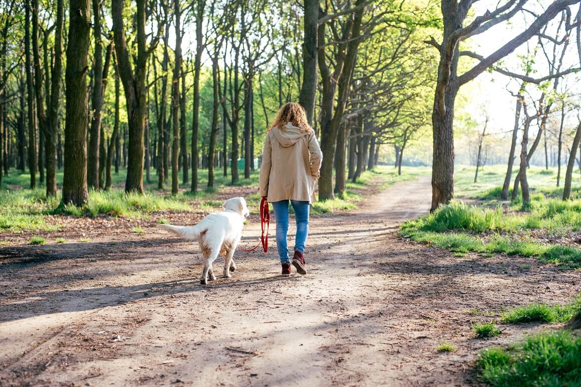 Šetnja sa psom
