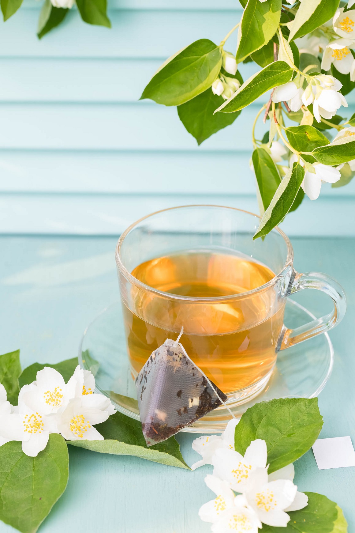 Čaj od jasmina - ljekovita svojstva