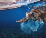 11 milijuna tona plastike godišnje završi u oceanima