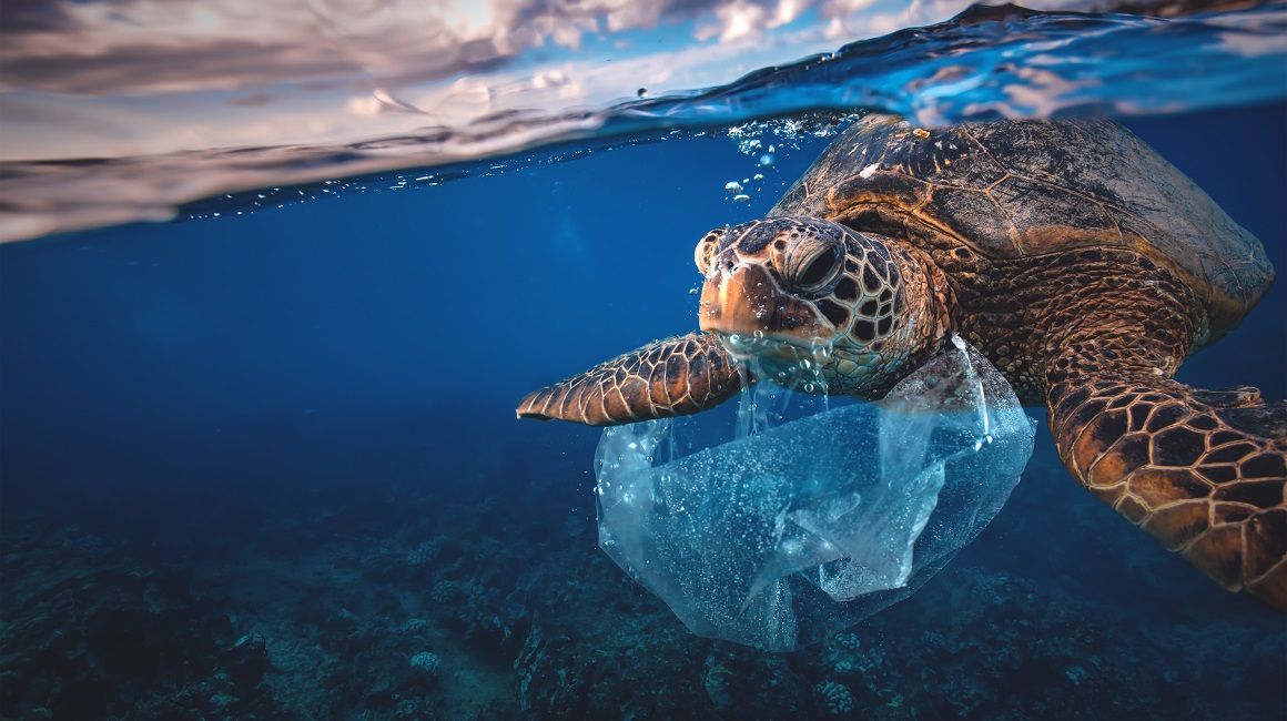 11 milijuna tona plastike godišnje završi u oceanima